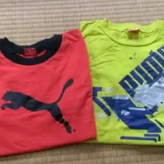 ２枚セットプーマTシャツ