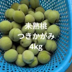 1920❄️クール便【秀品】特大4L3kg 梅干し用完熟南高梅 キルトパッチ