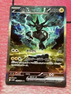 さ*中様 ゼクロムex SAR 2025年最新】ゼクロムex sarの人気アイテム - メルカリ