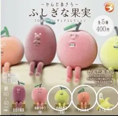 かんだあきら ふしぎな果実 フロッキーフィギュア コンプ ガチャ