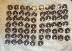 ツイステ リリア・ヴァンルージュ カプセル缶バッジセット