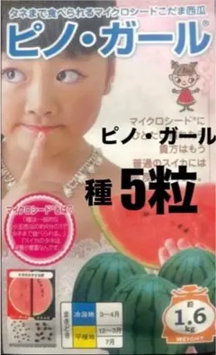 2026年最新】小玉スイカの人気アイテム - メルカリ