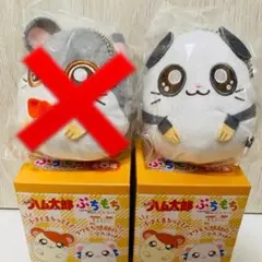 とっとこハム太郎 ぷちもち マスコット まいどくん - メルカリ