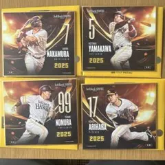 Item thumbnail for item 012b07e0-0742-4296-b140-9d94c6a5e580