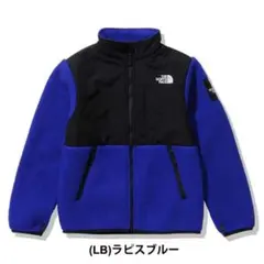 新品未使用 THE NORTH FACE ノースフェイス デナリジャケット