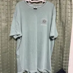 COMFORT COLORS Tシャツ 企業　骸骨　Sea Hag Marina