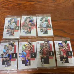 バレー女子日本代表