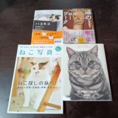 ネコの本　４冊セット　ハコネコなど