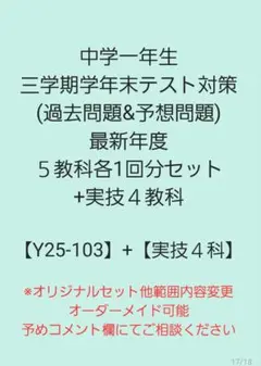 中学校定期テスト対策 実技4教科中学3年間範囲66回フルセット【TMAP
