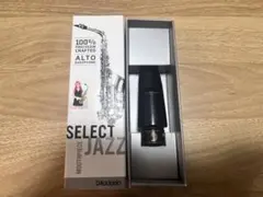 D'Addario SELECT JAZZ D6M アルトサックスマウスピースのサムネイル