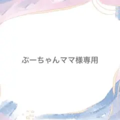【ぶーちゃんママ様専用】