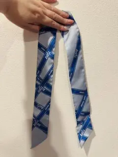 【美品】エルメスツイリーボリュデュックブルーリボン柄