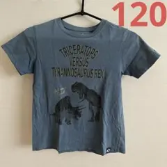 UNIQLO  恐竜柄　Tシャツ  120cm