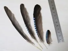 haruka様 リクエスト 3点 まとめ商品