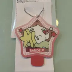 TXT スライドミラー プルバトゥ バムグッ