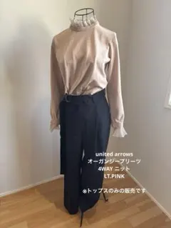 UNITED ARROWS レディ オーガンジー 5分袖 ニット - メルカリ