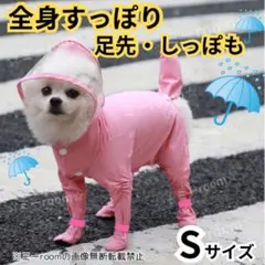 Item thumbnail for item 5436af29-0fd2-4efa-9465-9e4b8d1bee92