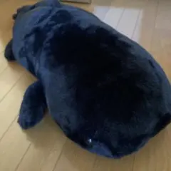 アメイジングオーシャン　超BIGぬいぐるみ オオサンショウウオ　ブラック