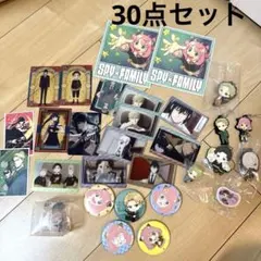 SPY×FAMILY キャラクターグッズセット 計30点