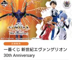 一番くじ 新世紀エヴァンゲリオン セミ1ロット61-2 59点 ラストワンあり