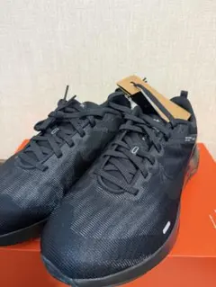 Item thumbnail for item 388cadea-6721-428c-a0bf-e5b697dfa4bd