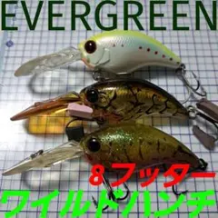 2026年最新】ワイルドハンチ エイトフッターの人気アイテム - メルカリ