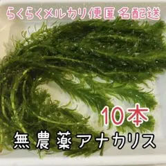 lin様 リクエスト 3点 まとめ商品