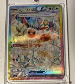 ポケモンカード テラスタルフェス ブイズ ex sar 9枚セット　ブラッキー