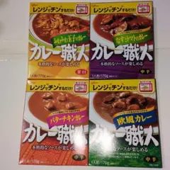 メタルインドカレー 中辛 160g×3個セット 賞味期限2026.1.1 - メルカリ
