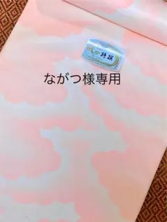 Item thumbnail for item 14f78eea-472f-436f-aad6-828d68b3fb19