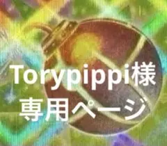 Tory pippi様　専用ページ　まとめ売り