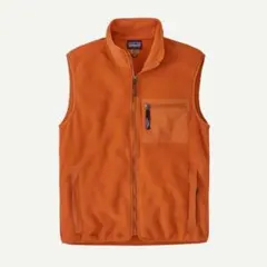 希少 patagonia パタゴニア Synchilla Vest シンチラ