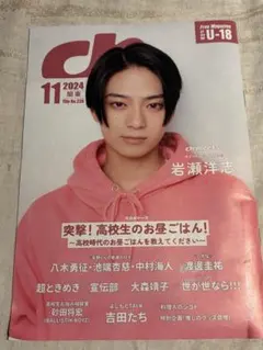 ch FILES 2024年11月号 岩瀬洋志