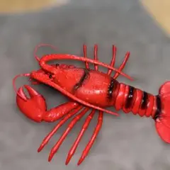 赤いロブスター おもちゃ