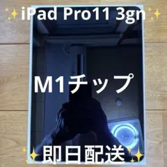 iPad Pro11インチ 第3世代 128GB スペースグレイMHQT3J/A