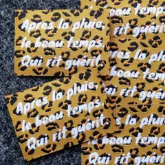 Item thumbnail for item 66d8508c-83fd-4037-ab44-77b9df068019