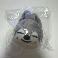 2026年最新】skzoo ぬいぐるみ マグネットの人気アイテム - メルカリ