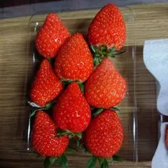 くまこ様専用ページ