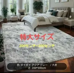 アクアグレー ラグ 200×300cm