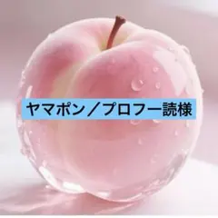 。。専用。。