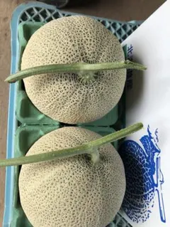 北海道産 特大大玉サイズ2玉入り　　　糖度は十分ありますのサムネイル