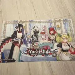 新品未使用】素早いビッグハムスター プレイマット - メルカリ