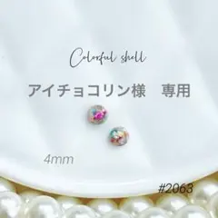アイチョコリン様　専用　ステンレス