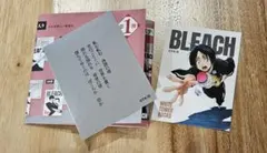 Item thumbnail for item 9311f155-b4a8-4a7c-8cc1-01315a2ac937