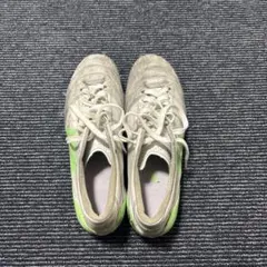 Item thumbnail for item b3d65495-fad0-46bc-a76b-da23b055e519