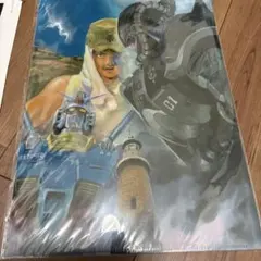 Item thumbnail for item 85b30023-5258-4344-b007-a29e5670a4c3