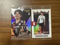 バレーボール男子日本代表ツインウエハース2枚セット