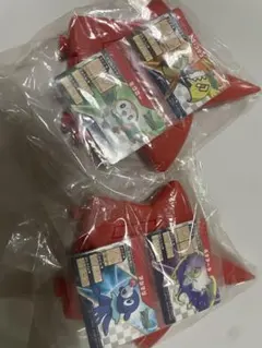 タマザラシ＆アローラロコン pokemon ポケふた ラバーキーホルダー