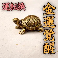 2026年最新】チョウピラコの人気アイテム - メルカリ