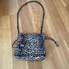 チャオパニック